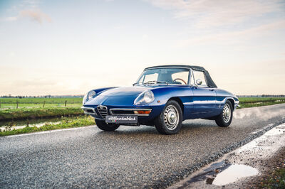 Alfa Romeo Spider 1750 Duetto